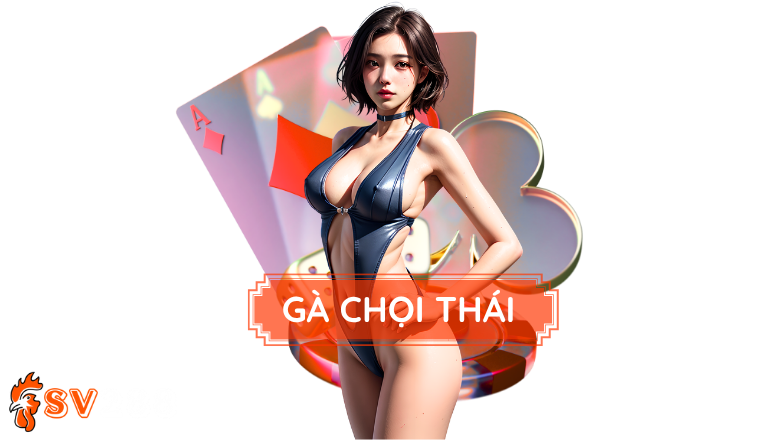 Gà Chọi Thái - Chiến Thuật Gia Thống Trị Đấu Trường Đá Gà